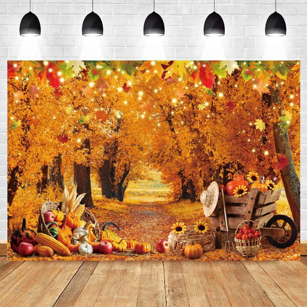 CHAIYA 10x8ft Thanksgiving Backdrop | Autumn Harvest Barn Door Photography Background | Vinyl Banner