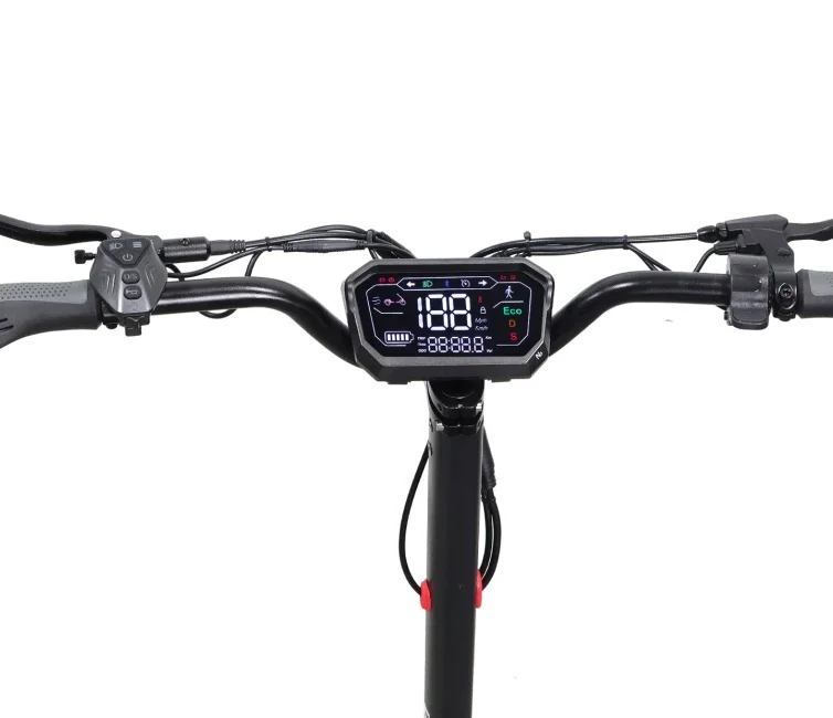 S761957e974634d109d312f5b0986a2583