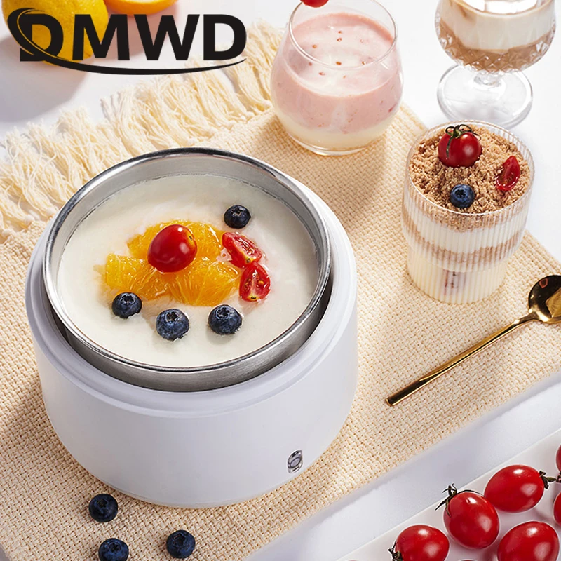 DMWD Multifunctional Mini Yogurt Maker 1L Stainless Steel Liner Leben Ferment Machine Automatic Natto Rice Wine DIY Yogurt Tools 2