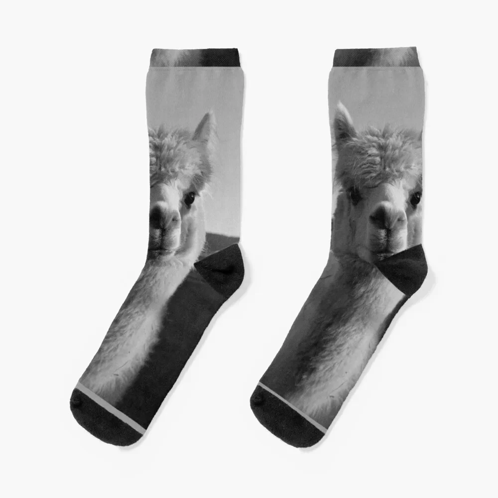 

Alpaca Black & White Lama Peru Alpaka Sweet / ALPACA LOVE Collection Socks sports stockings cartoon Ladies Socks Men's