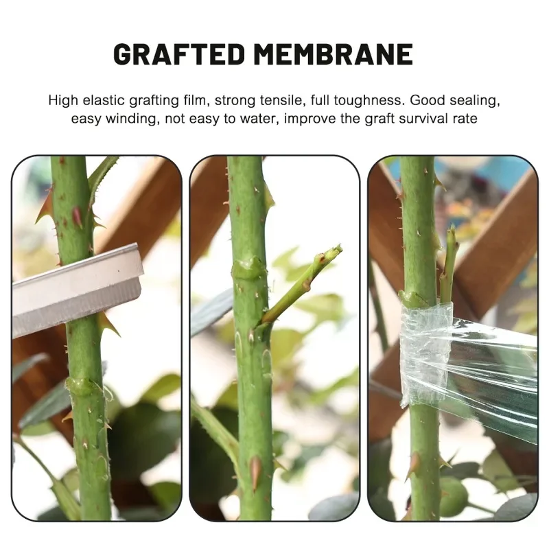 PE Grafting Tape Film Stretchable Self-adhesive Garden Tree Roll Tape Plants Seedlings Vine Tomato Grafting Accessories 100/500m grafting tape