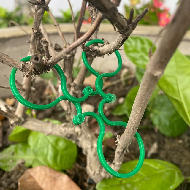 Kerti Növény Tartó Rácsos Klipek Szőlő Zöldséghez Új Paradicsom Termesztési, Függőleges Növényi Állvány Szerszám - Image 4