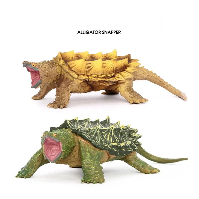 

Children's Early Learning Cognitive Toys Simulation Amphibious Reptile Model Snapping Turtle Plastic Toys Ornaments Puzzle Toys