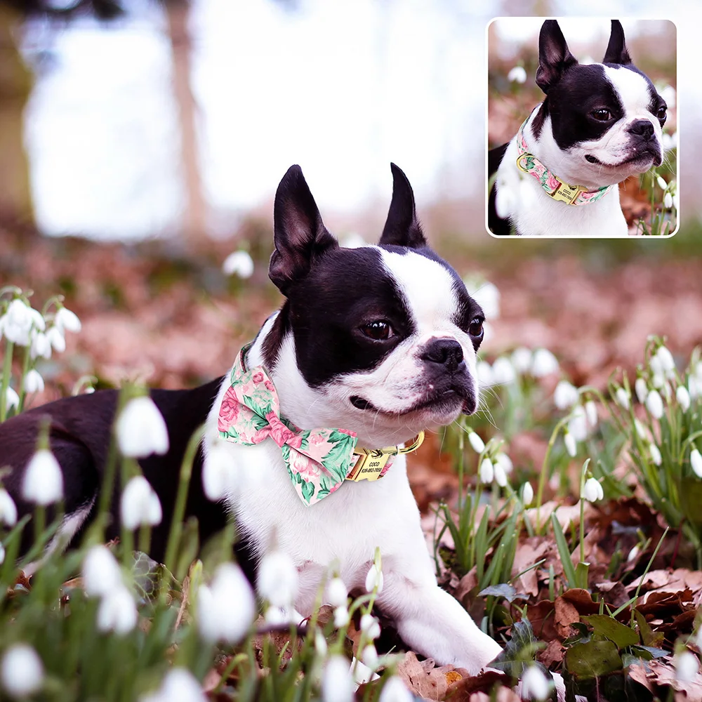 Cute Bowknot Adjustable Nylon Collar Dog Anti-lost - PeticaDeals