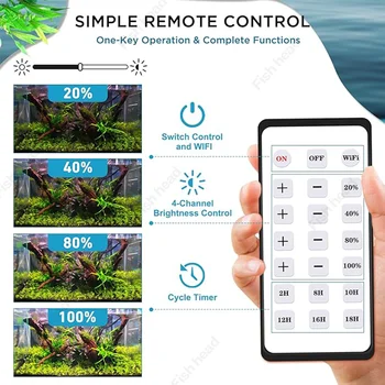 Lominie Aquarium LED Light 10 Gallon Fish Tank Light 2