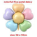Colorful daisy