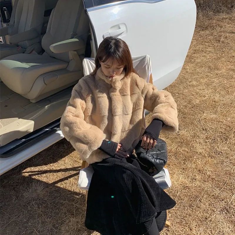 2023 Autumn Winter New Short British Style Simple Commuting Loose Thick Warm Standing Collar Mink Imitation Fur Coat Woman