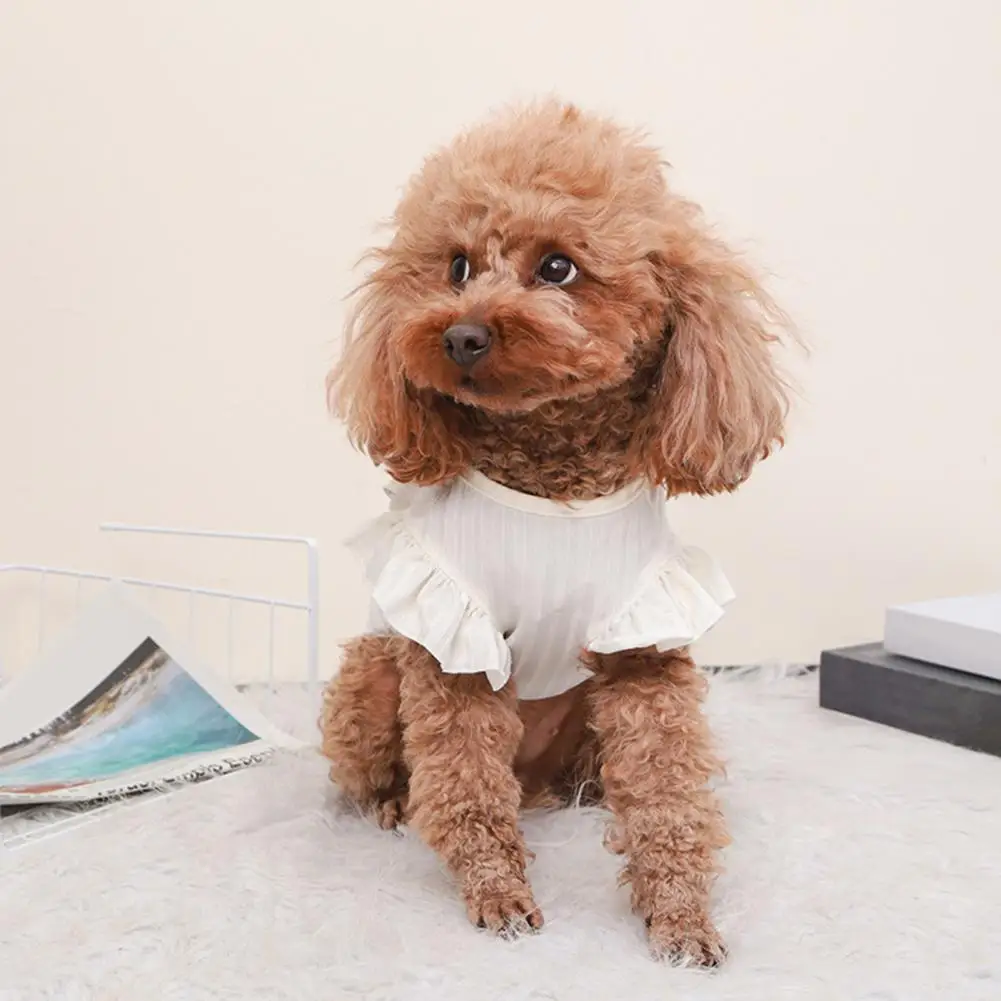 

Dog Vest Lovely Easy-wearing Soft Pet Cat Dog Bowknot Blouse Pullover Pet Supplies Pet T-shirt Pet T-shirt