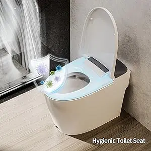 Hygienic Toilet Seat