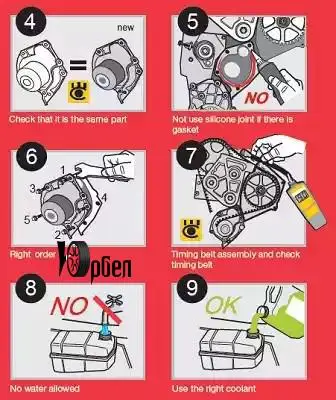 Airtex 1577 water pump Renault Clio II 1998-2005/Kangoo I 1998-2008/Megane 1996-2003/symbol/Thalia 1998-2009 | Автомобили и