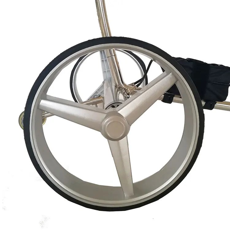 3-Wheel Electric Golf Buggy with High Quality