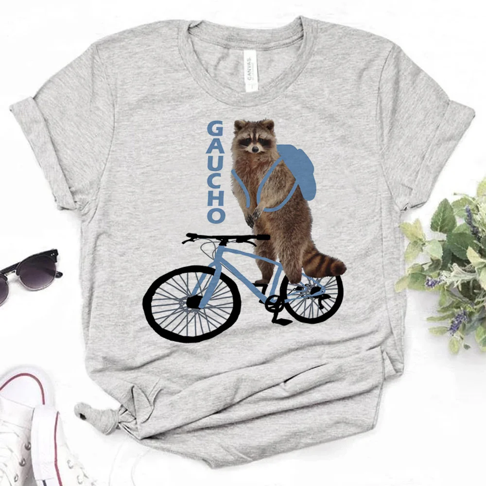 

racoon