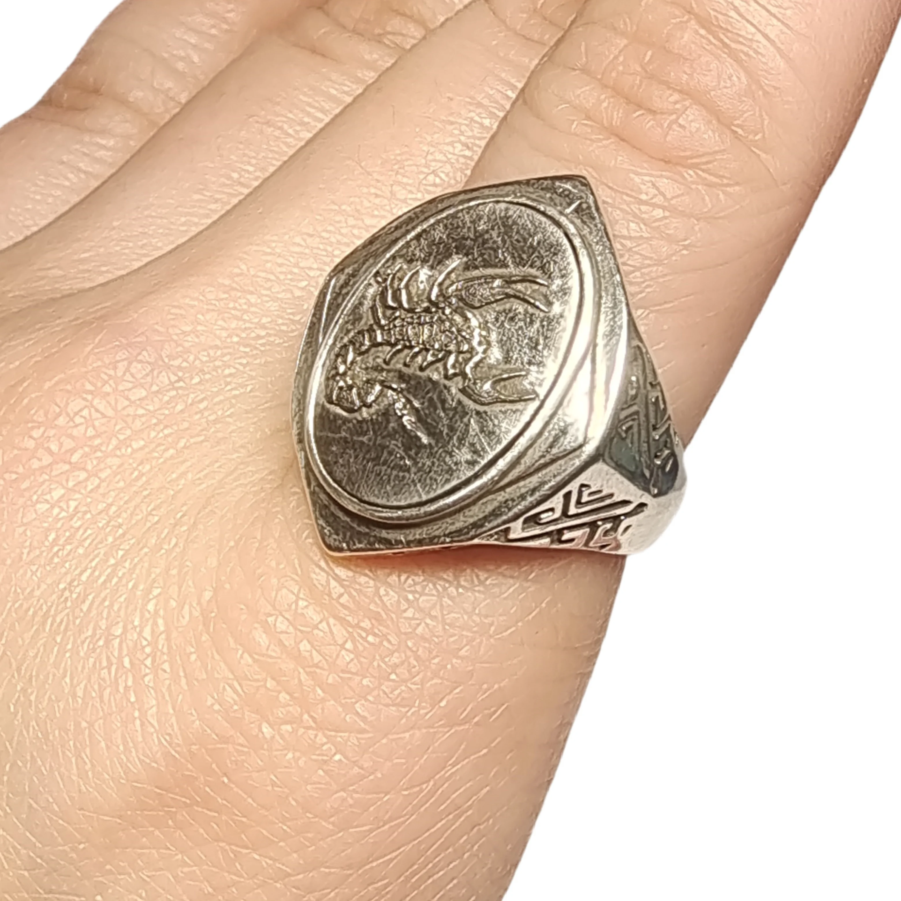 Muonionalusta meteorite S925 Silver Ring Natural iron