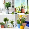 1-48pcs Plastic Plant Support Pile Stand Plant Support Pile for Flowers Greenhouses Arrangement Fixing Rod Holder Garden Tools 4