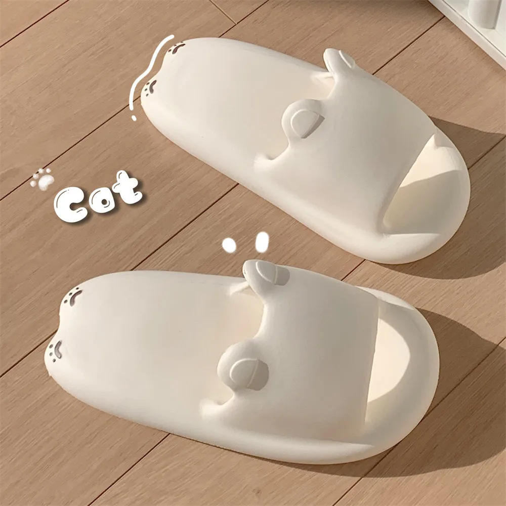 beach slides - true-deals-club