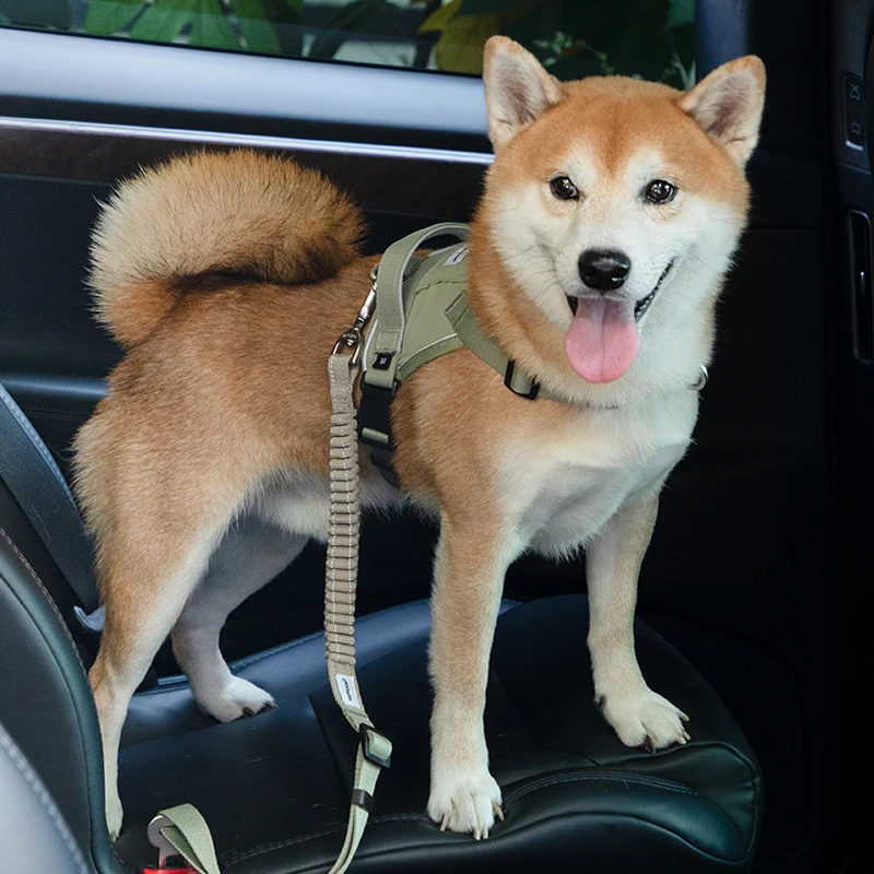 Adjustable er Car Pet Seat Belt Retractable Elastic Rope Dog Safety Leash Strap Travel Car Safety Rope Dog Accessories