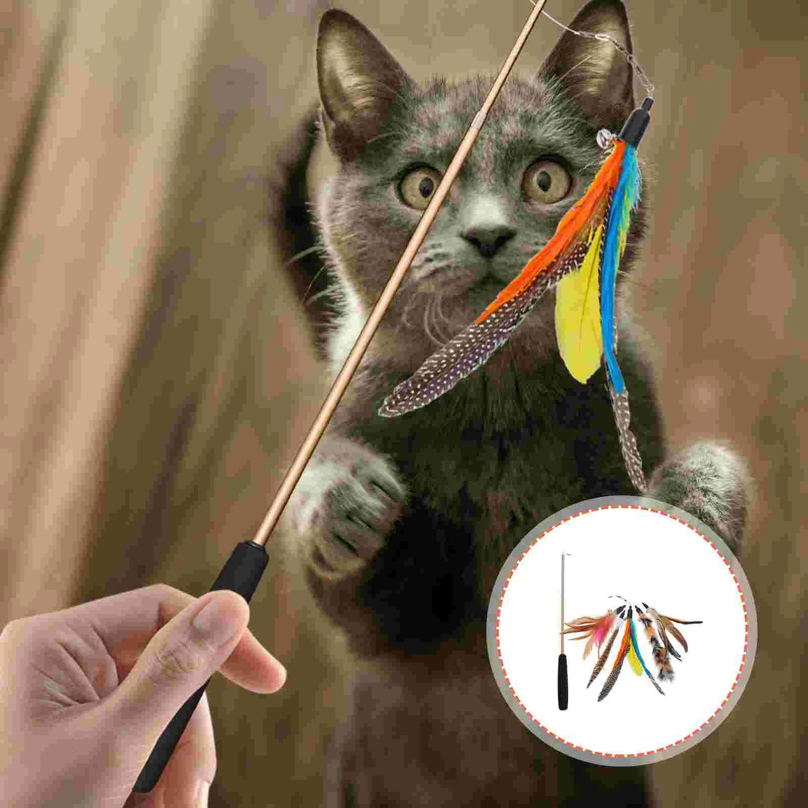 

Телескопическая искусственная палочка, интерактивный котенок, тренировка в помещении, рыбалка из ЭВА, дрессировка