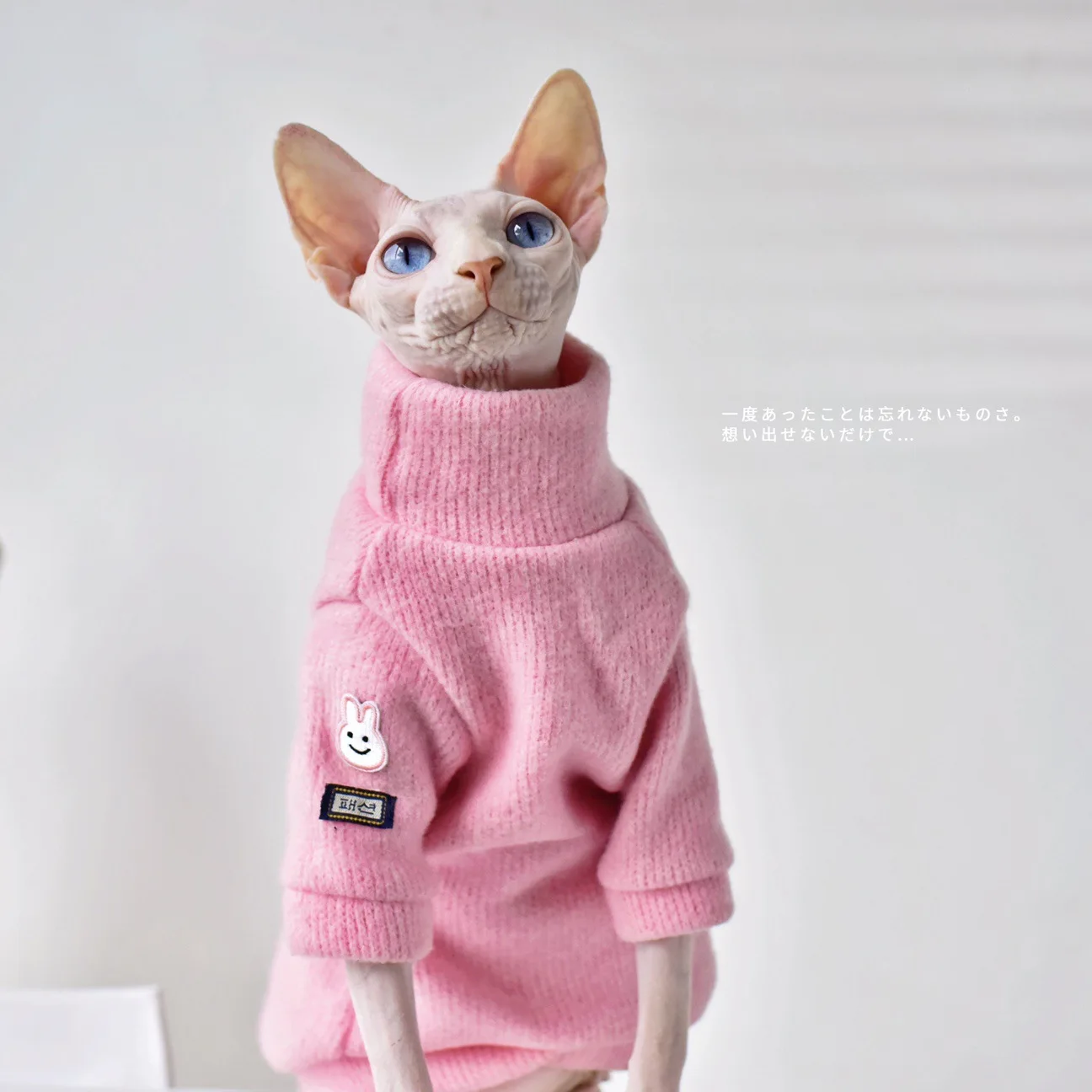 Зимняя одежда Ins для домашних животных милая розовая кошек Sphynx теплый костюм