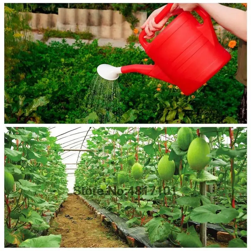15g Boron Fertilizer Sodium Borate Single Trace element Plant Food Increase Growth Fruit Output Crop Hydroponics Farm Vegetable