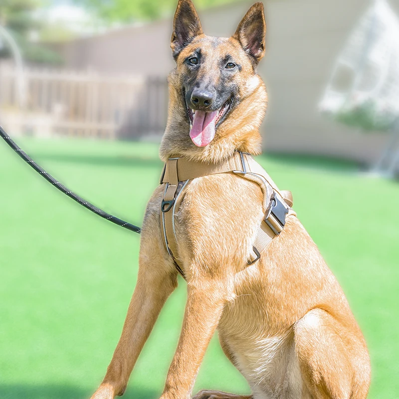 S7642e3093df44775a3fd8ce893c6f25a2