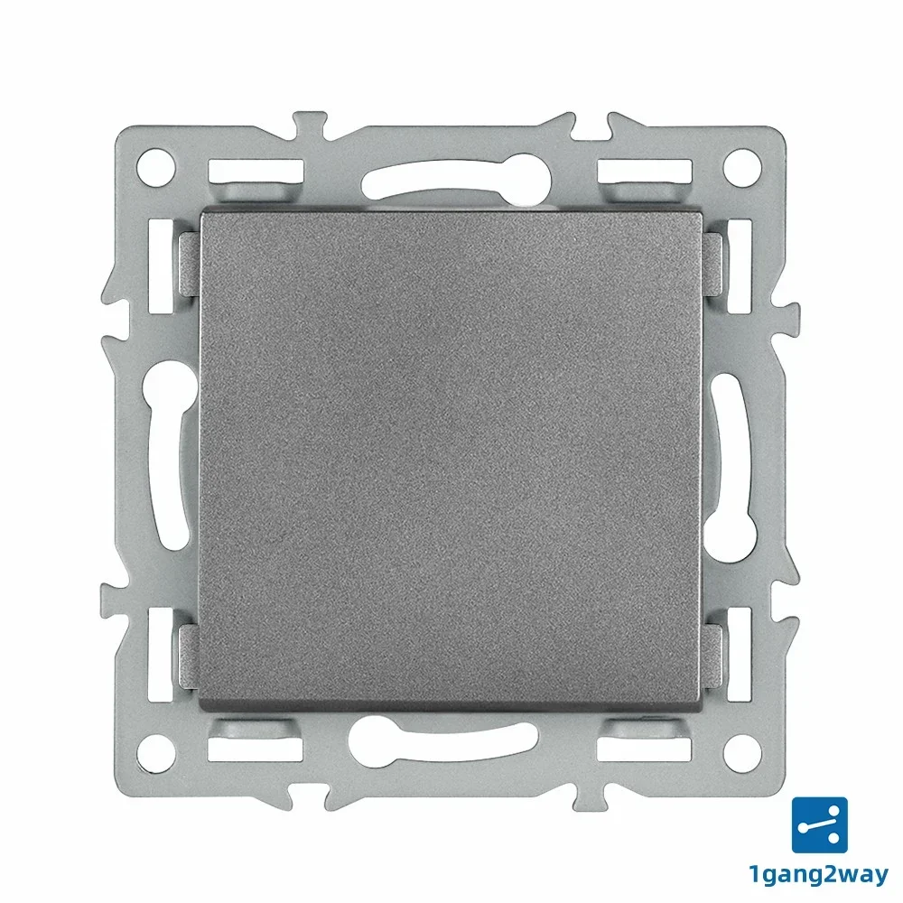 1Gang 2Way