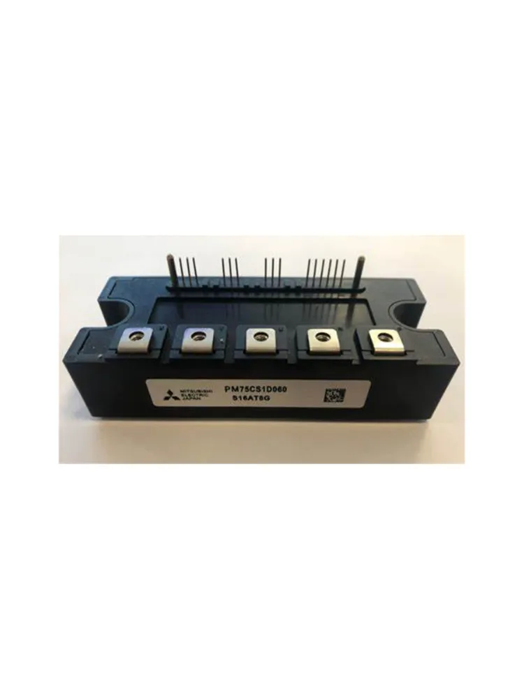 

PM75CS1D060