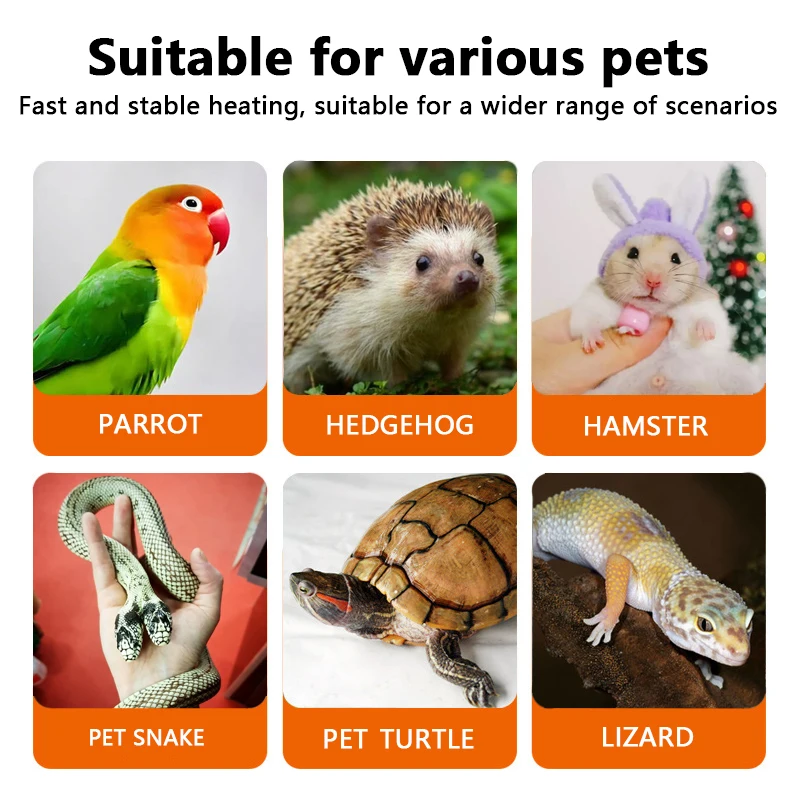 Ceramic Heat Emitter Lamp 3