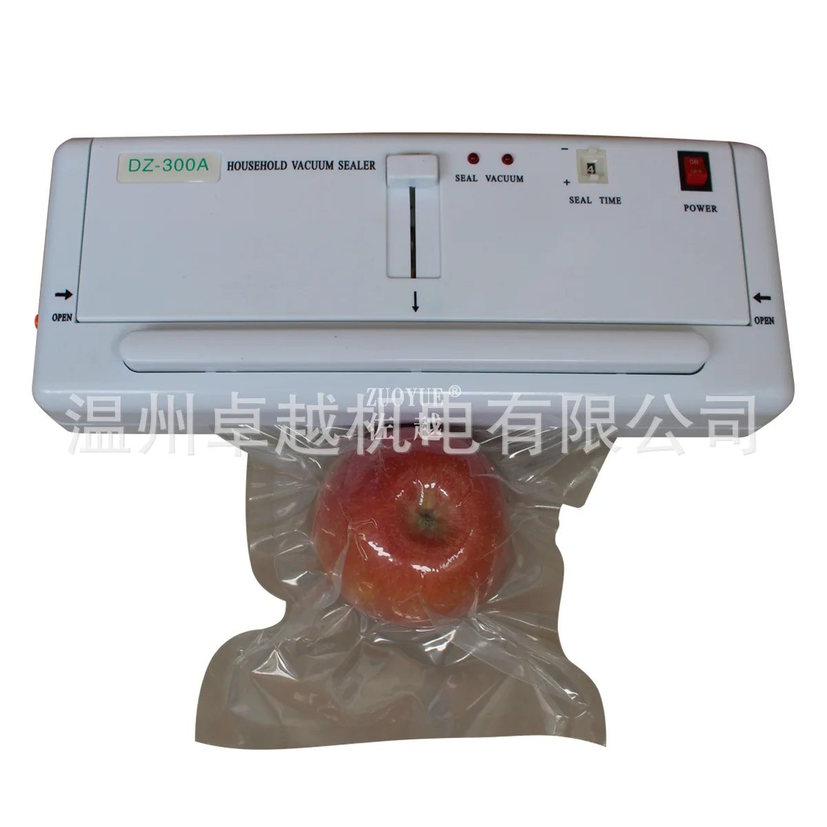 

DZ-300A Small Household Vacuum Sealing Machine