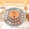22053-fccdc8.jpg 30-52 Egg Incubator with Automatic Egg Turning, Temperature Control and Humidity Monitor Incubators for Hatching Eggs, Chicken,