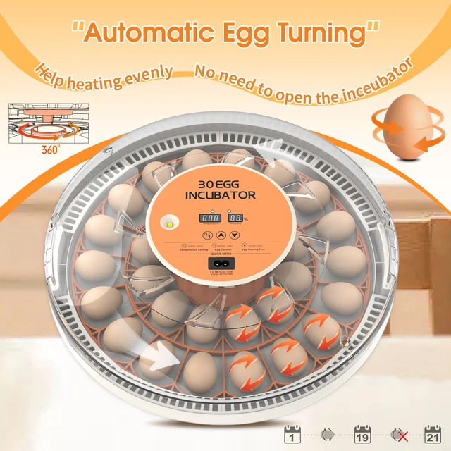 22053-fccdc8.jpg 30-52 Egg Incubator with Automatic Egg Turning, Temperature Control and Humidity Monitor Incubators for Hatching Eggs, Chicken,