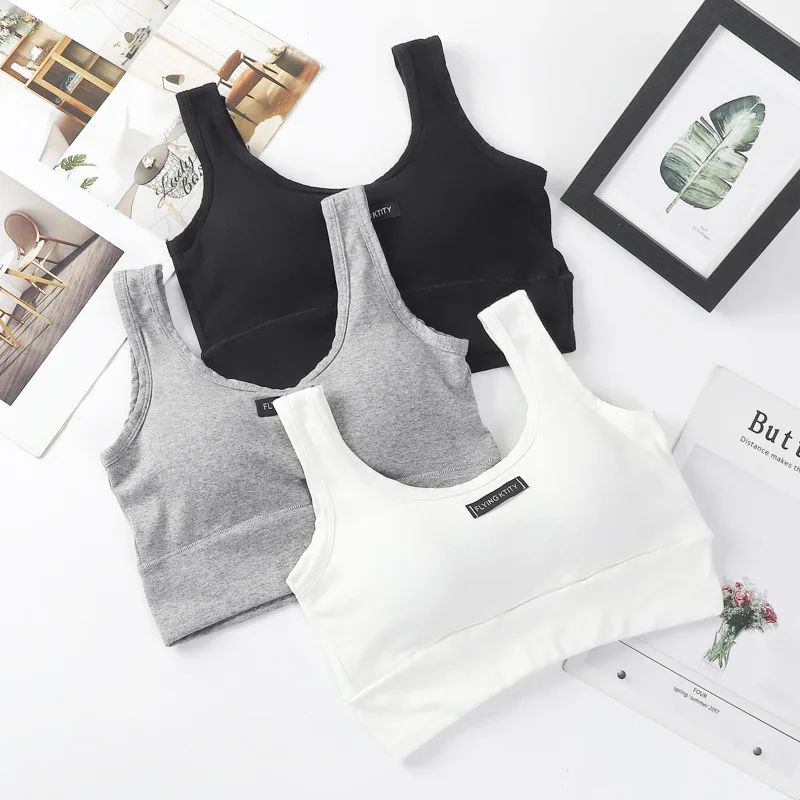 ������ ĳ�̽� ��ũ ����, ĳ��� �μҸ� ������ ��Ʈ��Ʈ ��ũ ž Ƽ, �ֽ���Ʈ �귡���� B3186, ���� �м�