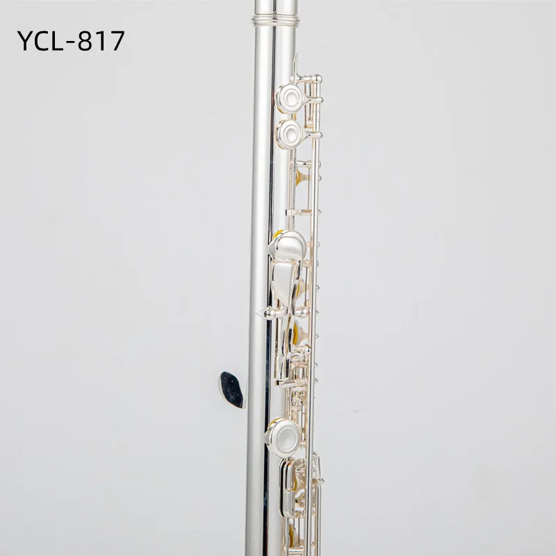 Alpine フルート Amazon.com: Flute Woodwind Instruments Japan Flute Silver