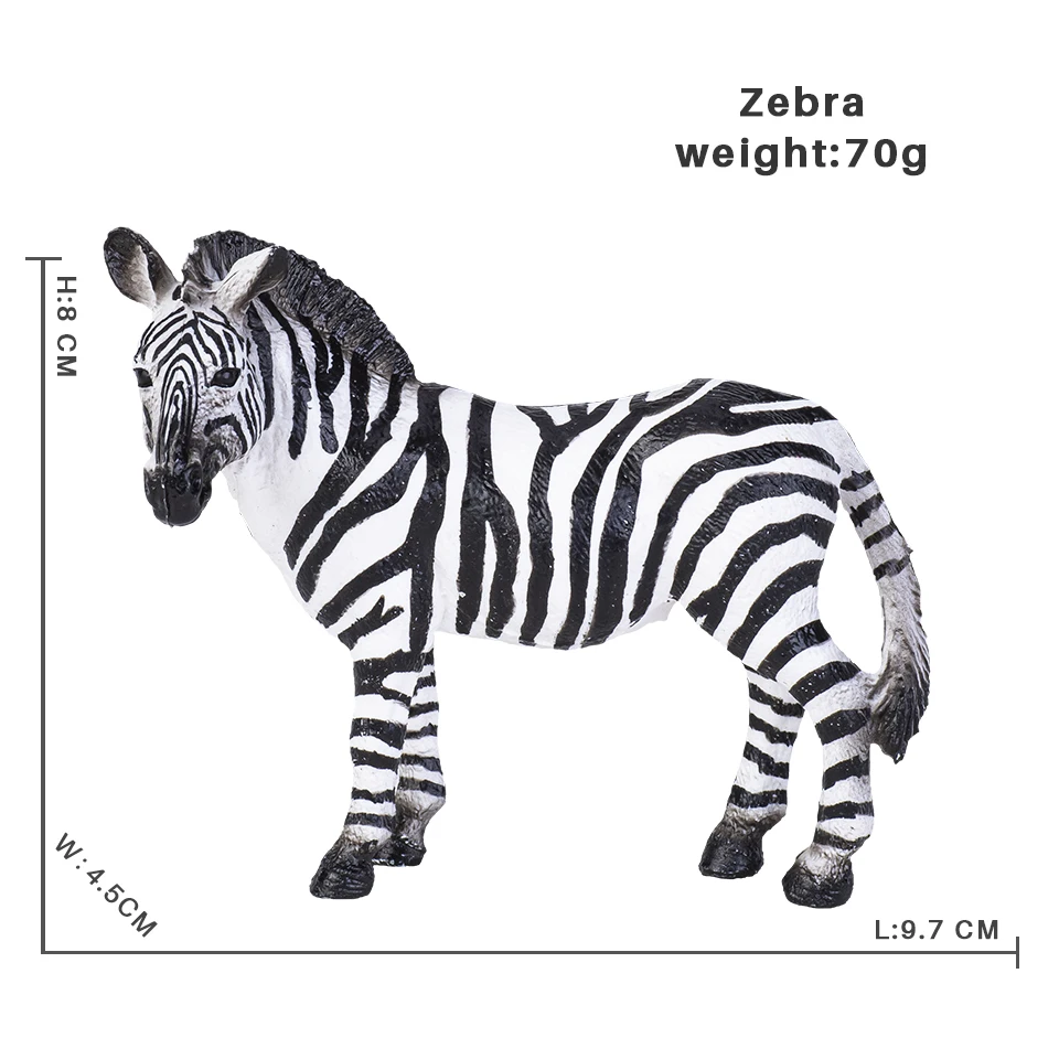 Zebra1