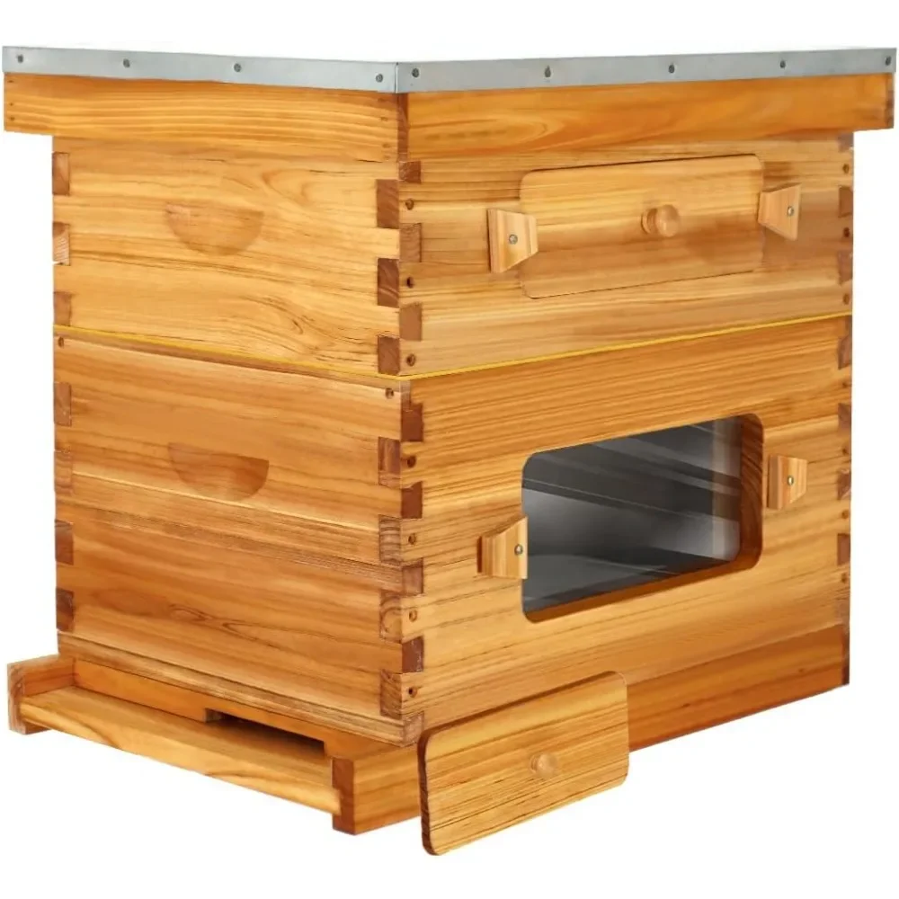 10-Frame Langstroth Bee Hive, Starter Kit with Beehive Frame and Waxed Foundation, 1 Deep Beehive Box & 1 Medium Box