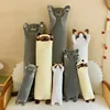 New Cat Island Pillow Doll Plush Toy Long Cat Doll Sleeping Rag Doll Birthday Gift Cojines Decorativos Para Sofá  Cute Pillow 1
