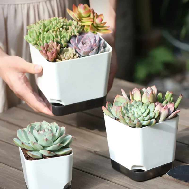 Set of 5 Self-Watering Plant Pots with Drainage and Reservoir Saucer for Indoor and Outdoor Use
