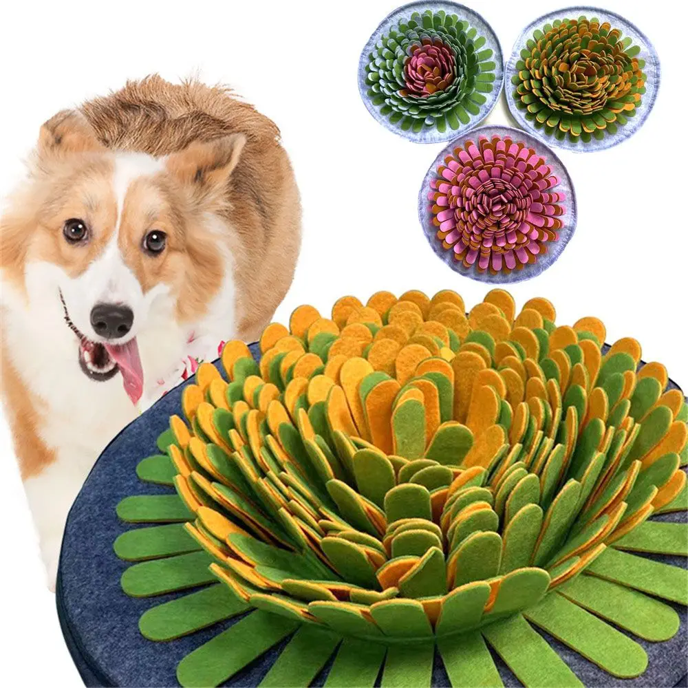 https://ae01.alicdn.com/kf/S765464deb7f8479cb2034eb7d8bd747dt/Pet-Dog-Snuffle-Mat-Nose-Smell-Training-Sniffing-Pad-Dog-Puzzle-Toy-Slow-Feeding-Bowl-Food.jpg