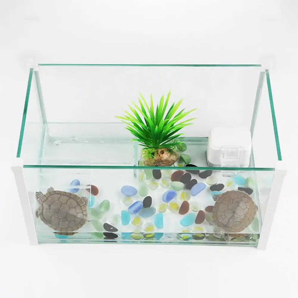 Schildpadden Zonder Filter edu.svet.gob.gt