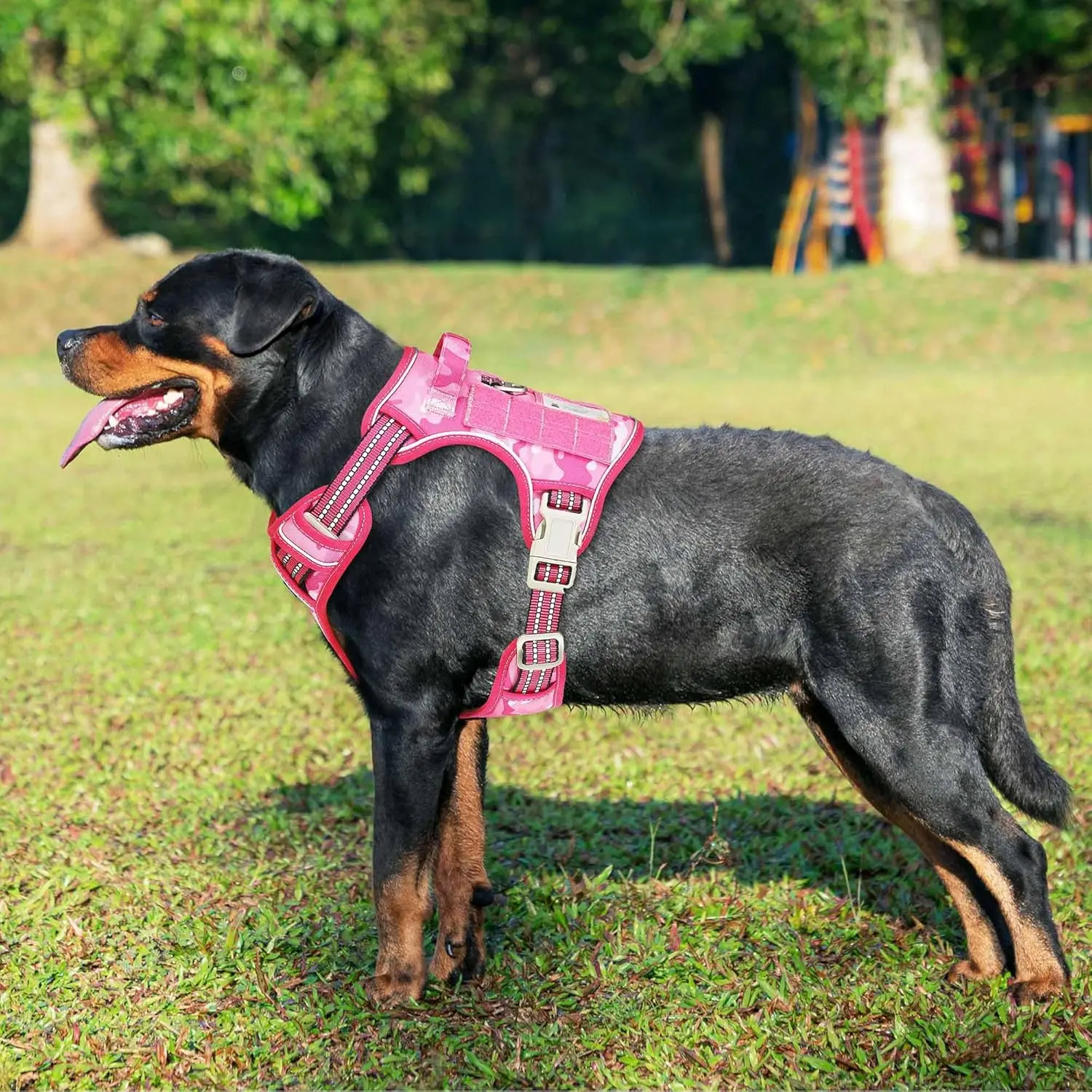 Tactical No-Pull Dog Harness 3
