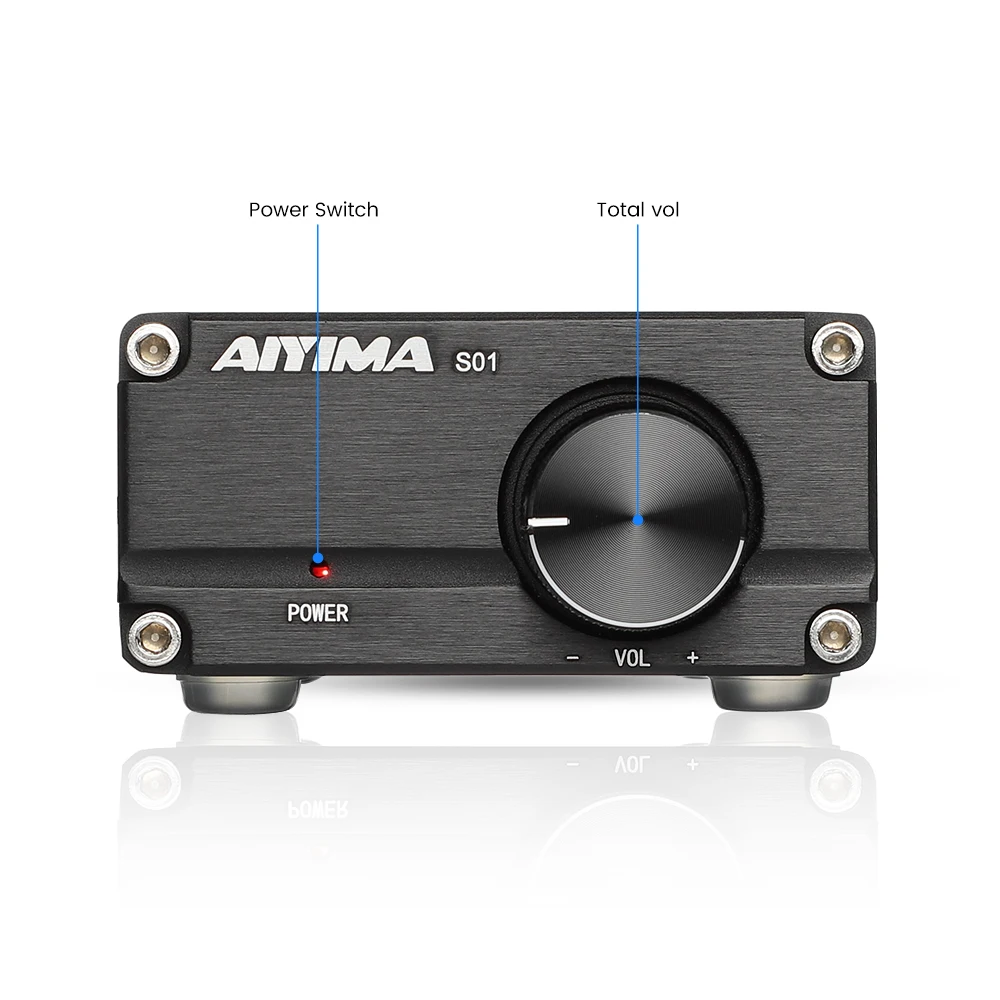 AIYIMA 100W Subwoofer Amplifier Audio Power Amplificador TPA3116 Sound Amplifier Mono Home Speaker Audio Amp For Passive Speaker