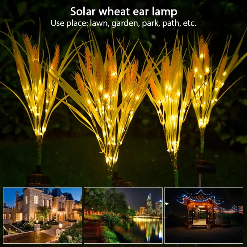 Рисунок 2 - Зернистая лужайка