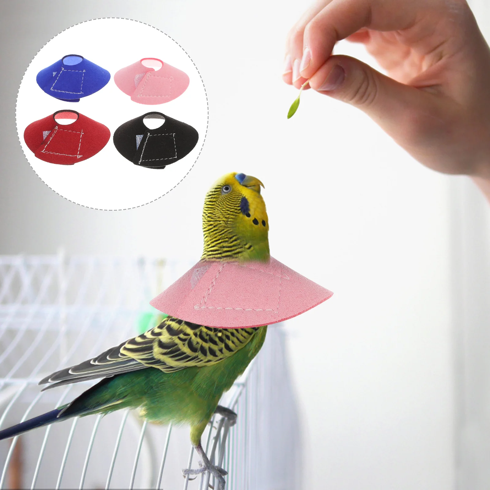 Parrot Plucking Bird Neck Collar Birds Protective Recovery Anti-scratch Baby Pet