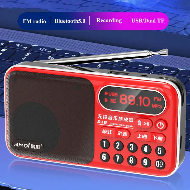 Mini Portable FM Radio LED Display Radios Receiver Wireless Hifi Sound Bluetooth Speaker Recorder Support USB Dual TF Card Play