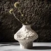 CAPIRON Nordic Ceramic Vase Pampas Grass Dried Flower Home Decoration Accessories Living Room Table Bookcase Porch Decor Bedroom 1