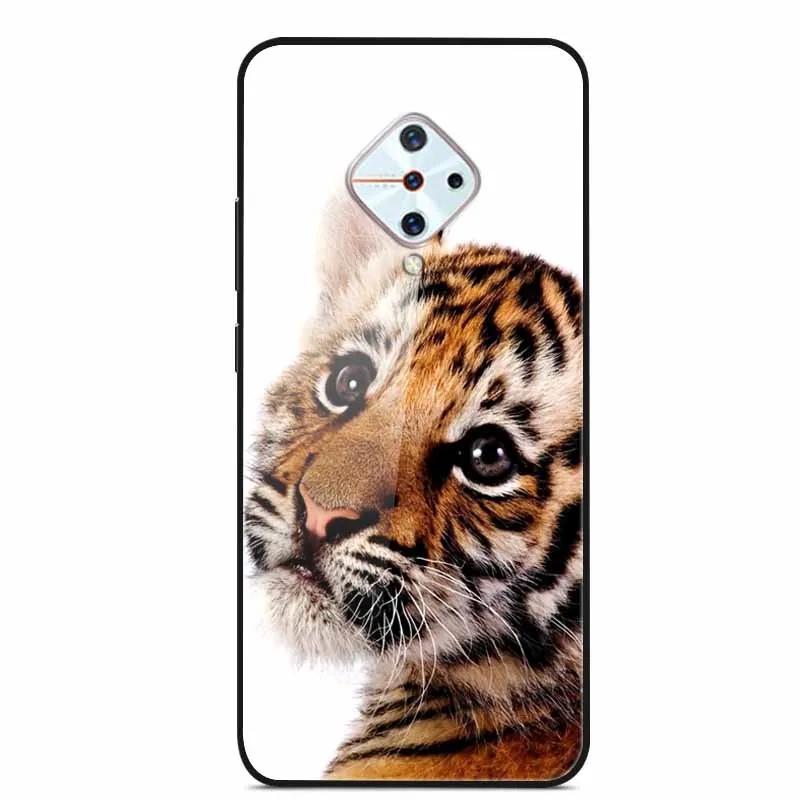 Premium Tempered Glass Back Case with Soft Bumper