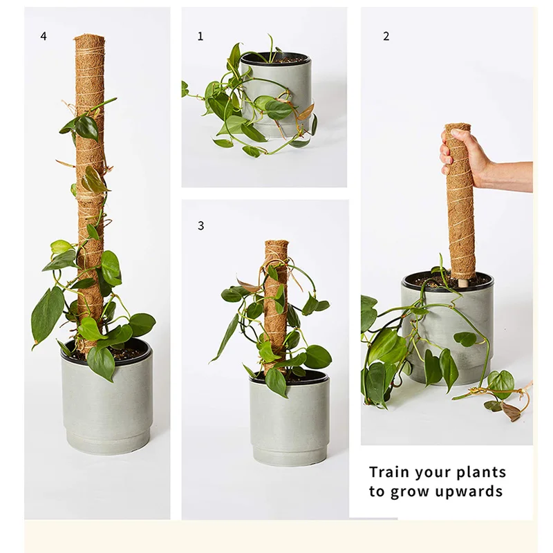 30/40/50CM Plant Climbing Pole Palm Stick Vine Support Extension Potted Plants Support Stakes Moss Pole Garden Tool Flower Decor
