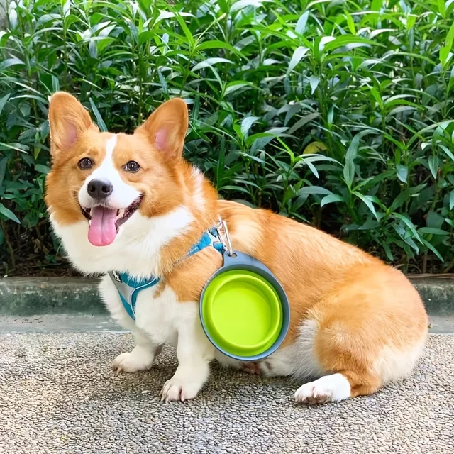 1/2PCS Portable Silicone Dog Bowl Cat Bowl with Climbing Buckle Outdoor Foldable Pet Bowl for Dogs And Cats 2