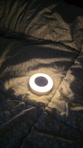 리뷰 사진