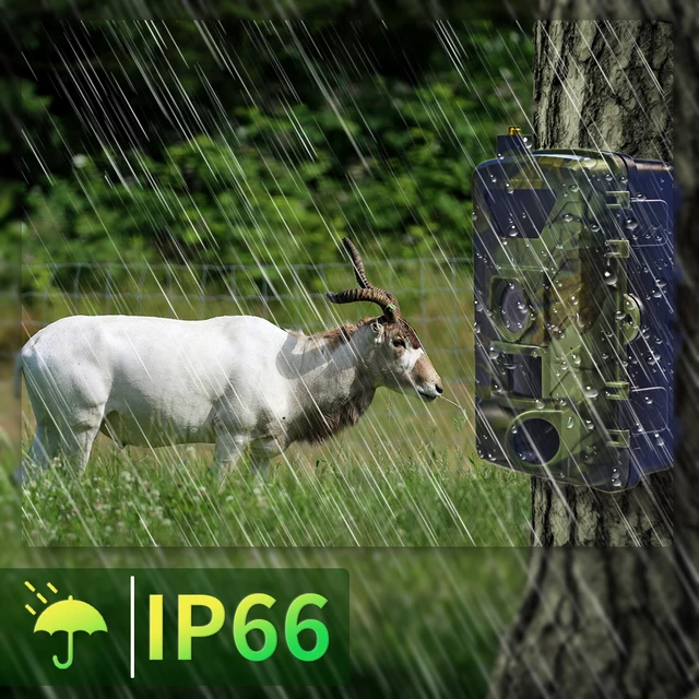 1Pcs Home Security Protect 4G/WiFi Wireless Waterproof Camera Outdoor Hunting Trail Camera Monitor Photo Video on APP 5