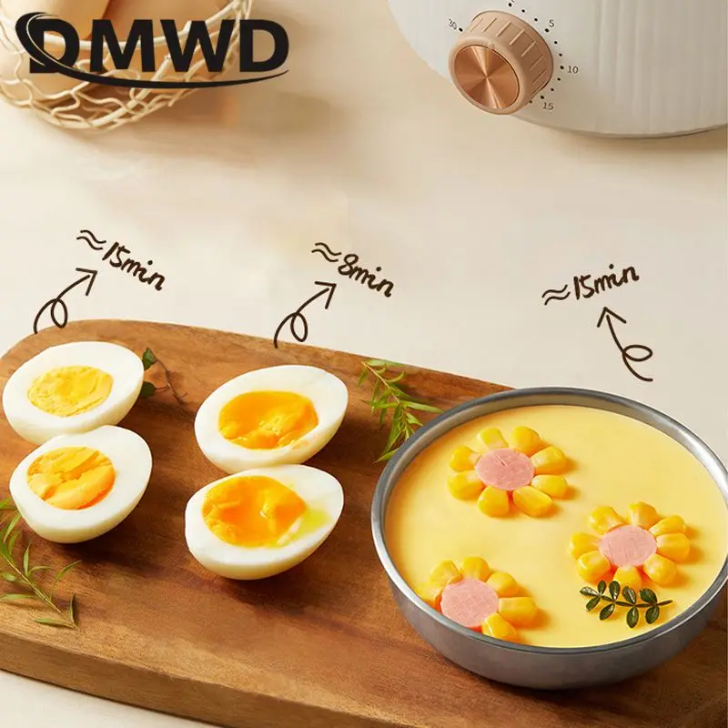 2 Layers Electric Egg Boiler Timed Egg Custard Steamer Stainless Steel Food Heater Multifunctional Breakfast machine Multicooker